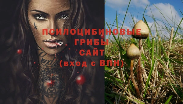 стаф Нея