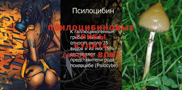 jwh Новокубанск