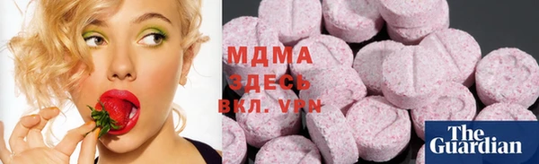 стаф Нея