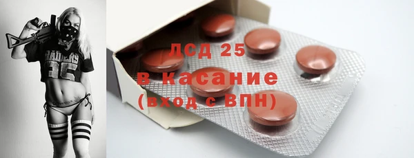 стаф Нея