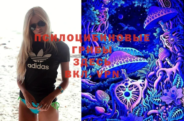 дживик Новозыбков