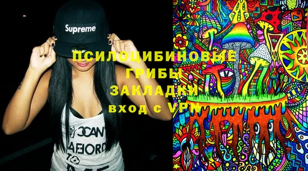 дживик Новозыбков