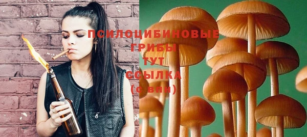 дживик Новозыбков
