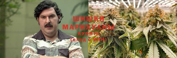 дживик Новозыбков