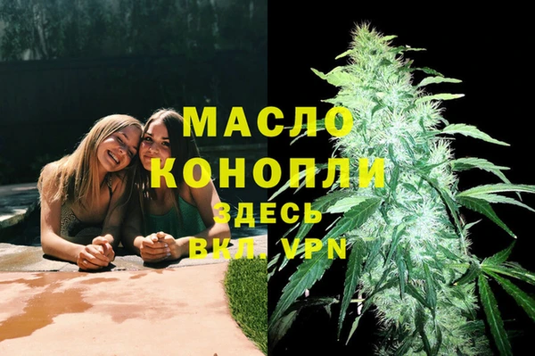 стаф Нея